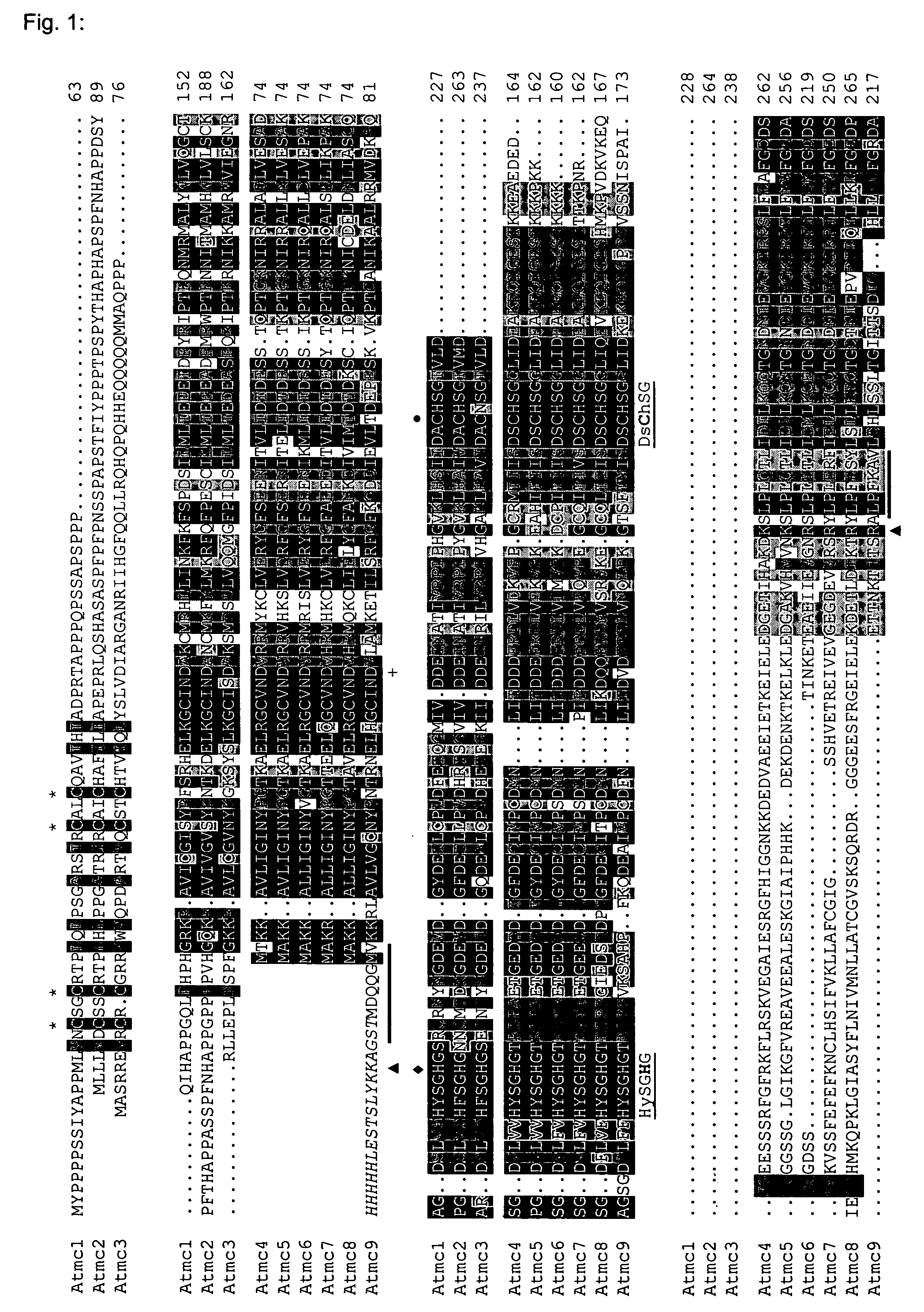 Novel class of metacaspases