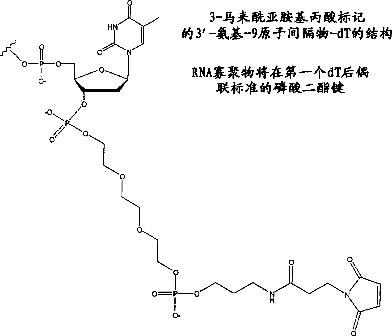 Protein carrier system for therapeutic oligonucleotides
