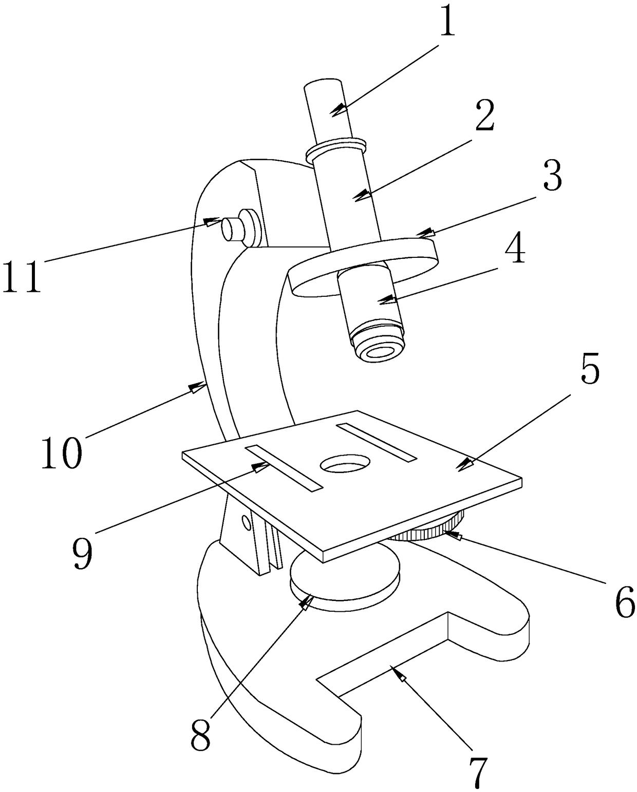 Bladder structure studying device