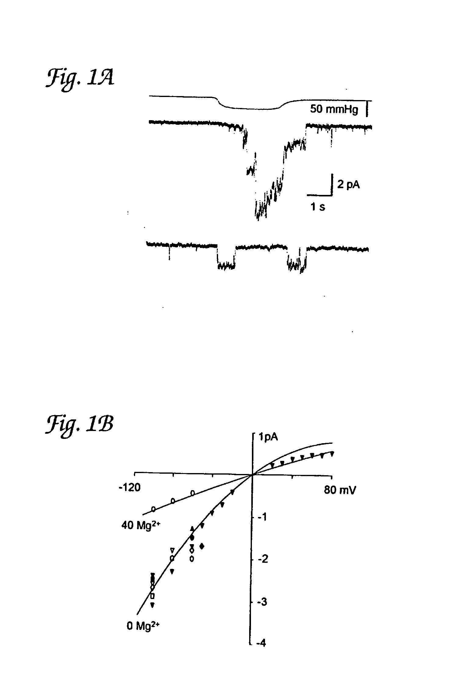 Mechanosensitive ion channels and methods of use