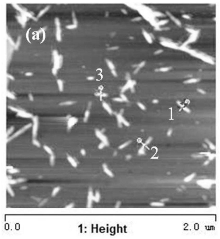 A kind of cellulose nanocrystal composite material and method modified by polylactic acid/nucleating agent