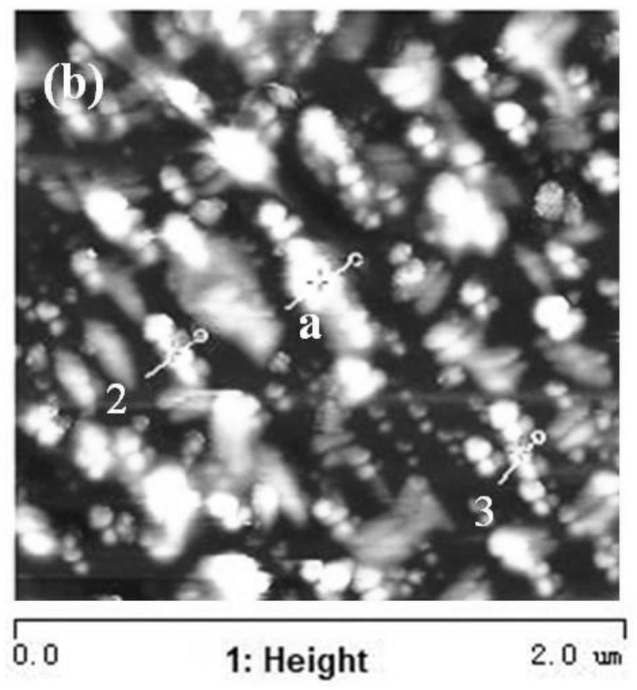 A kind of cellulose nanocrystal composite material and method modified by polylactic acid/nucleating agent