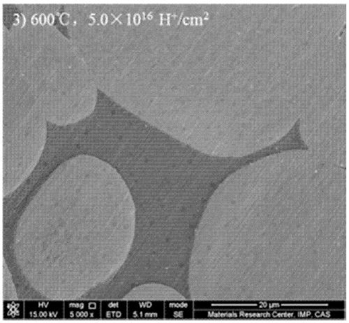 Tungsten alloy particle spallation target material