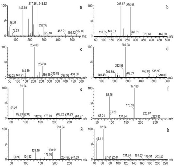 Method for determining seven degradation products of indoxacarb in tea leaves and tea soup based on ultra-high performance liquid chromatography tandem mass spectrometry