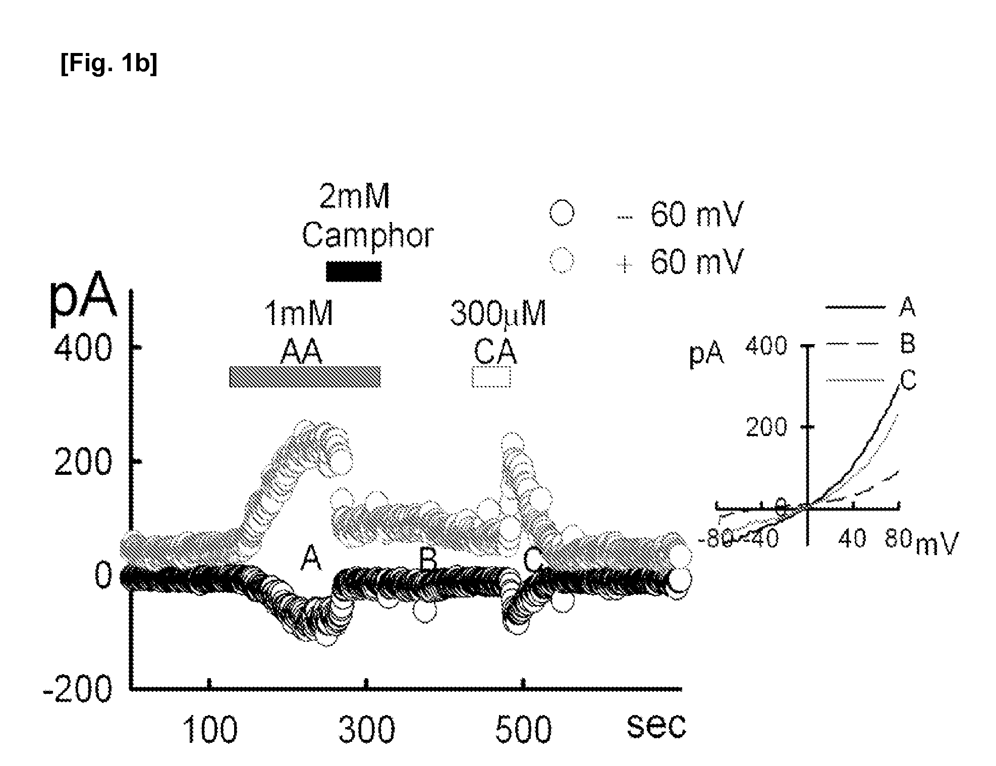 Method for activation of transient receptor potential cation channel, subfamily a, member 1 using acetaldehyde