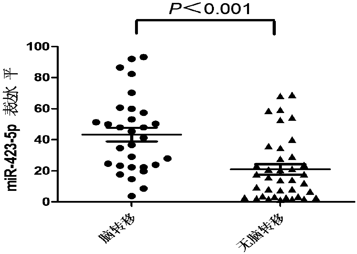 A molecular marker miR-423-5p for predicting lung cancer brain metastasis and applications thereof in medicines and a diagnostic kit