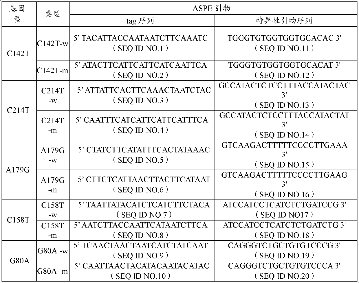 LIG3 (DNA (deoxyribonucleic acid) Ligase III) gene mutation detection specific primers and liquid chip