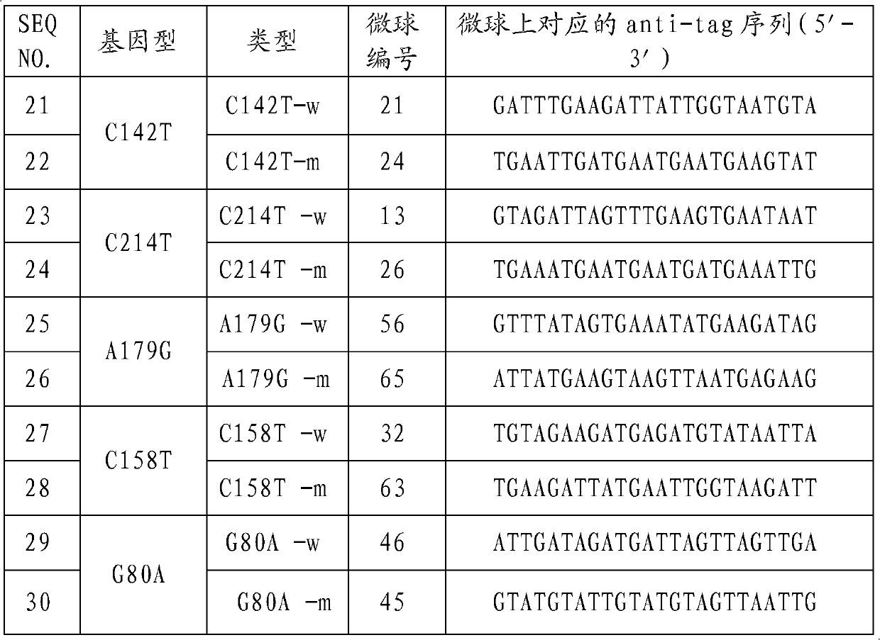 LIG3 (DNA (deoxyribonucleic acid) Ligase III) gene mutation detection specific primers and liquid chip