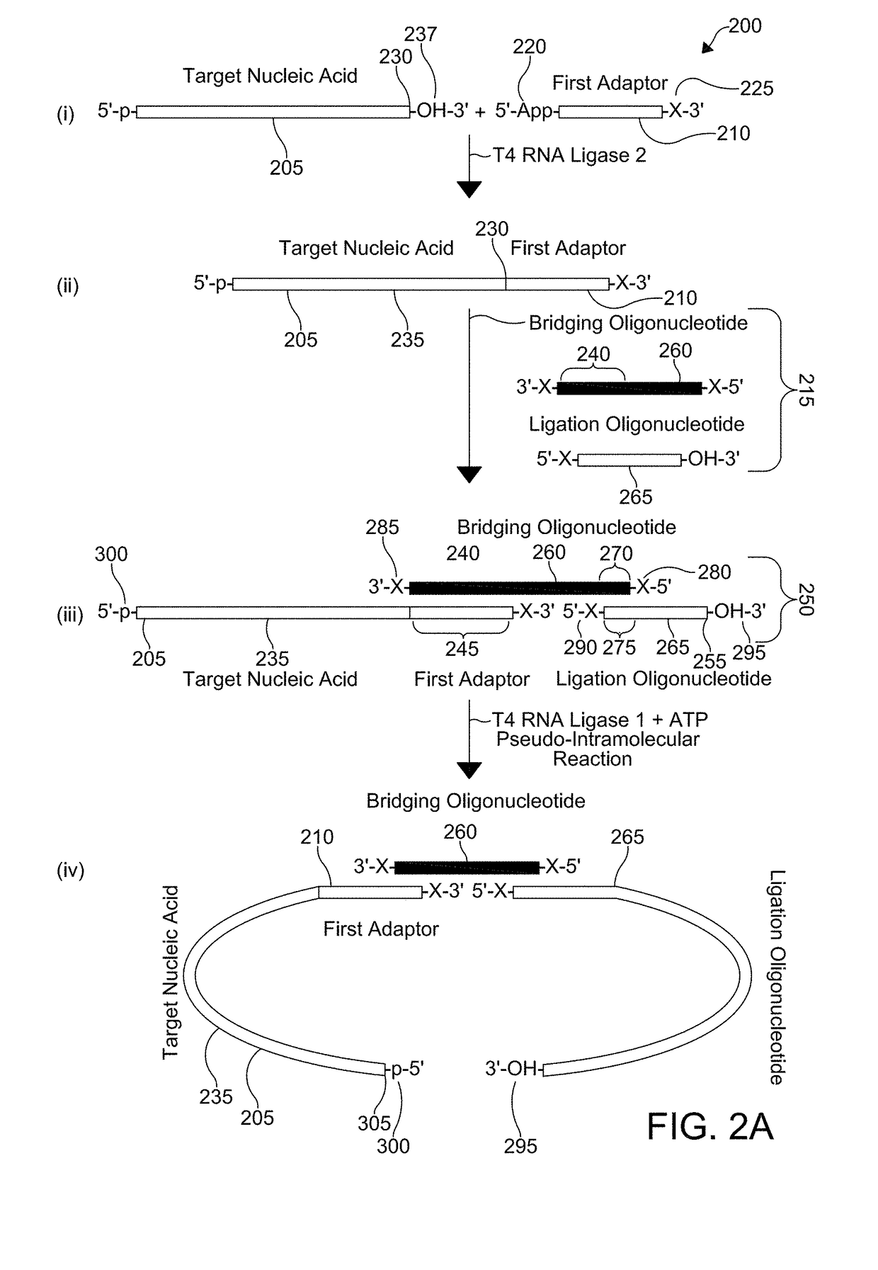 Coupling adaptors to a target nucleic acid