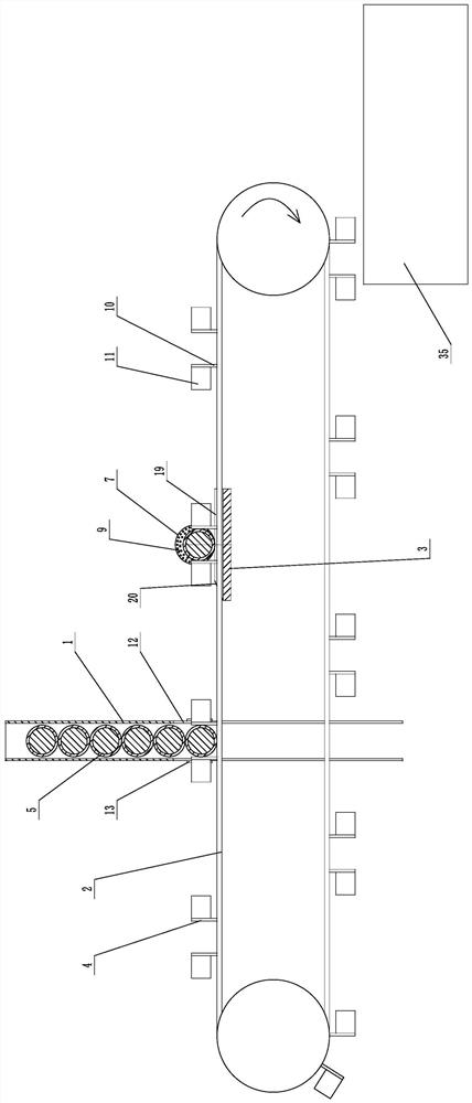 Torreya grandis shell breaking device