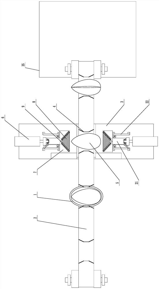 Torreya grandis shell breaking device