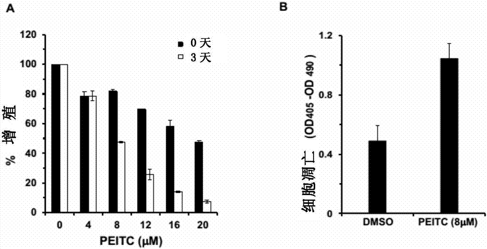 PEITC-containing pharmaceutical composition and application thereof in cancer therapy