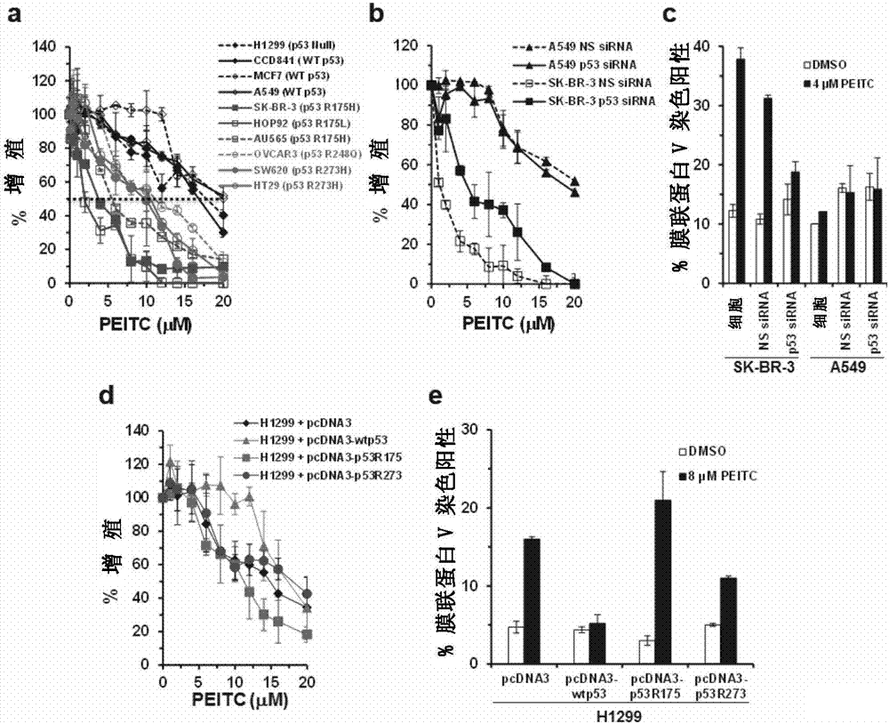 PEITC-containing pharmaceutical composition and application thereof in cancer therapy