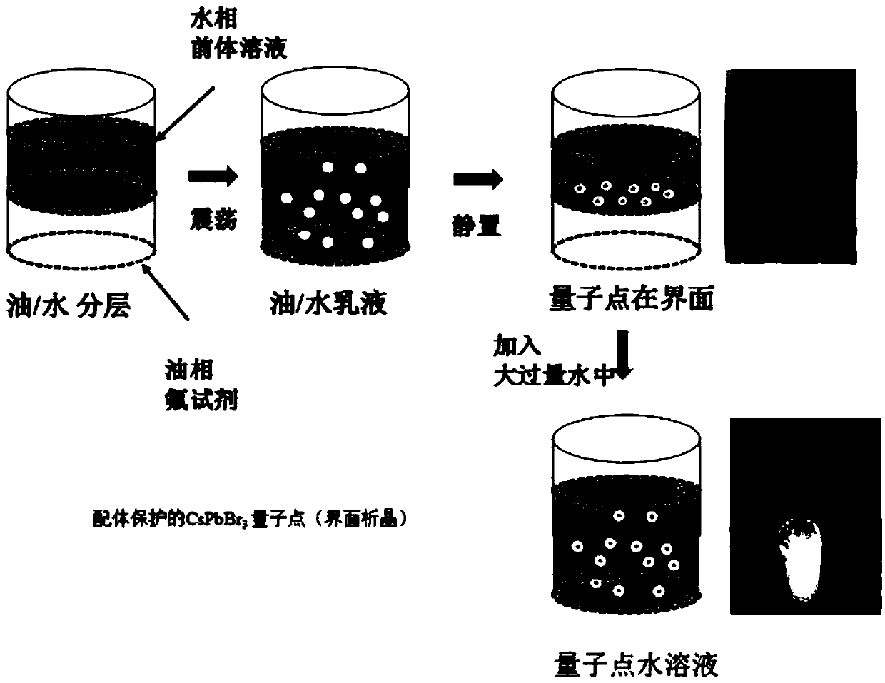 Preparation method of metal halide perovskite quantum dots