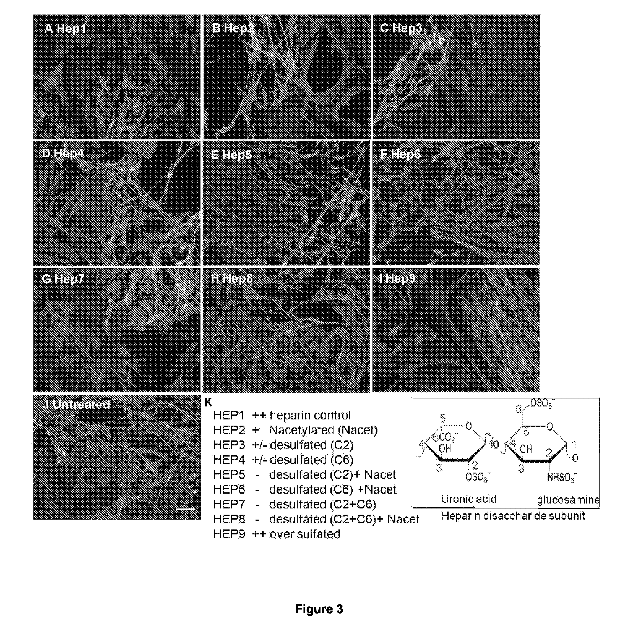 Agents for the prevention and/or treatment of central nervous system damage