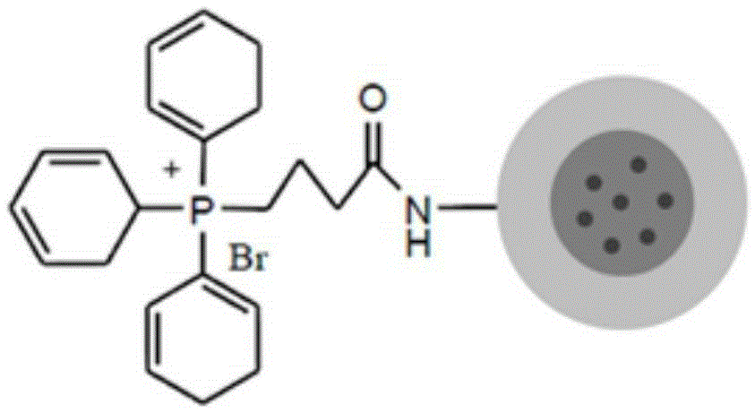 A fluorescent oxygen nanosensor with mitochondrial targeting