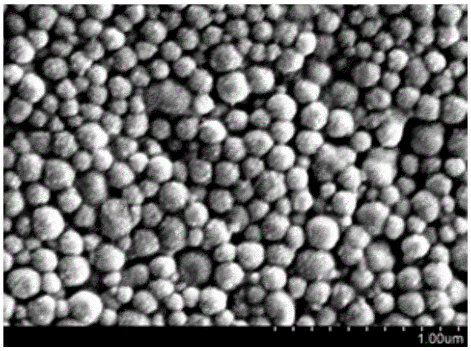 A fluorescent oxygen nanosensor with mitochondrial targeting