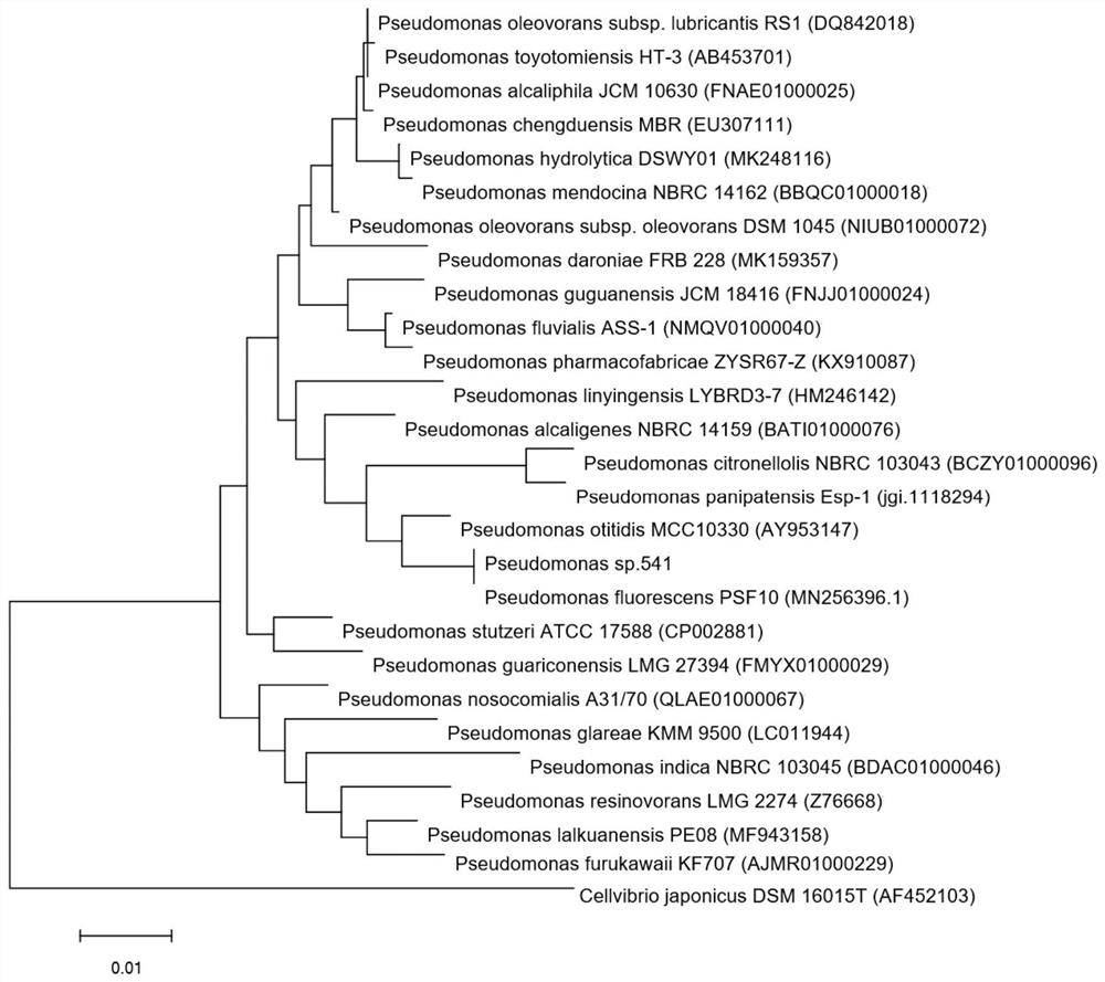 Active strain for inhibiting drug-resistant food-borne pathogenic bacteria and application thereof