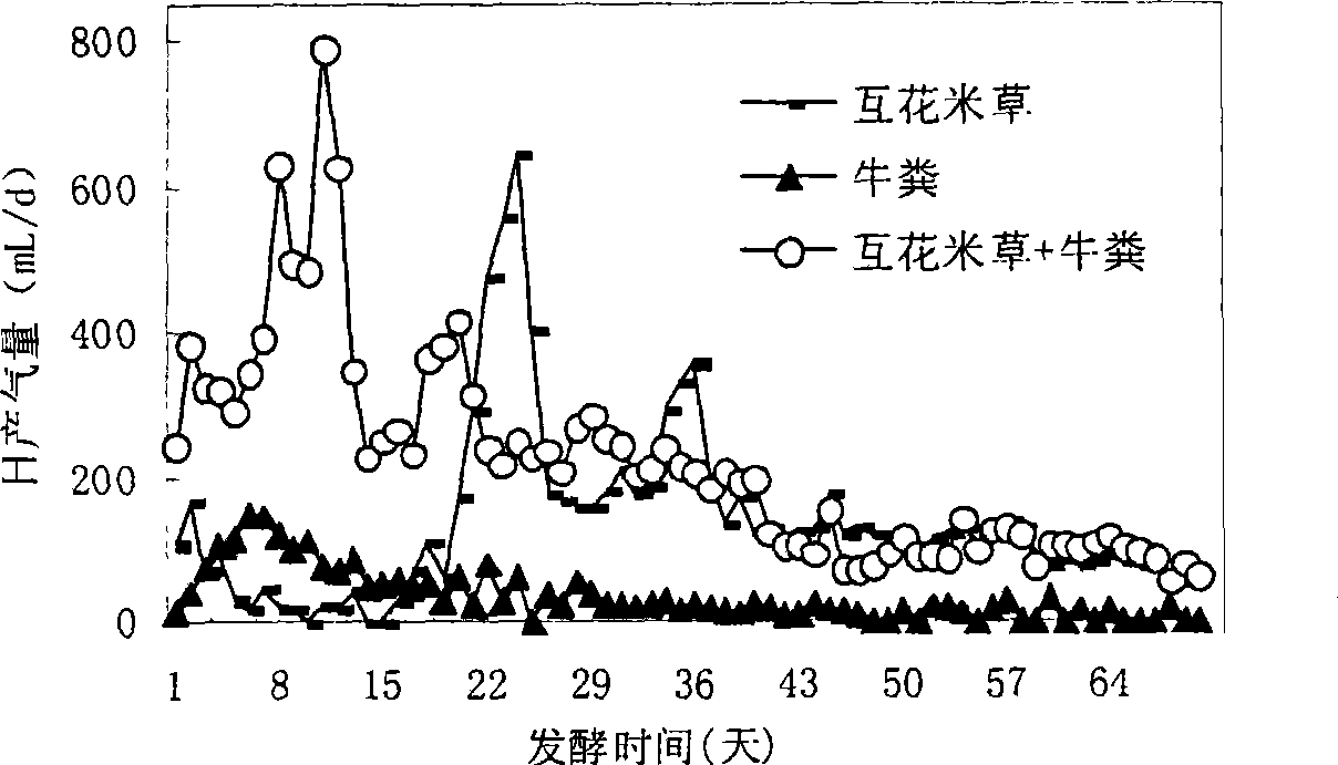 Method for producing methane from smooth cord-grass and cattle manure