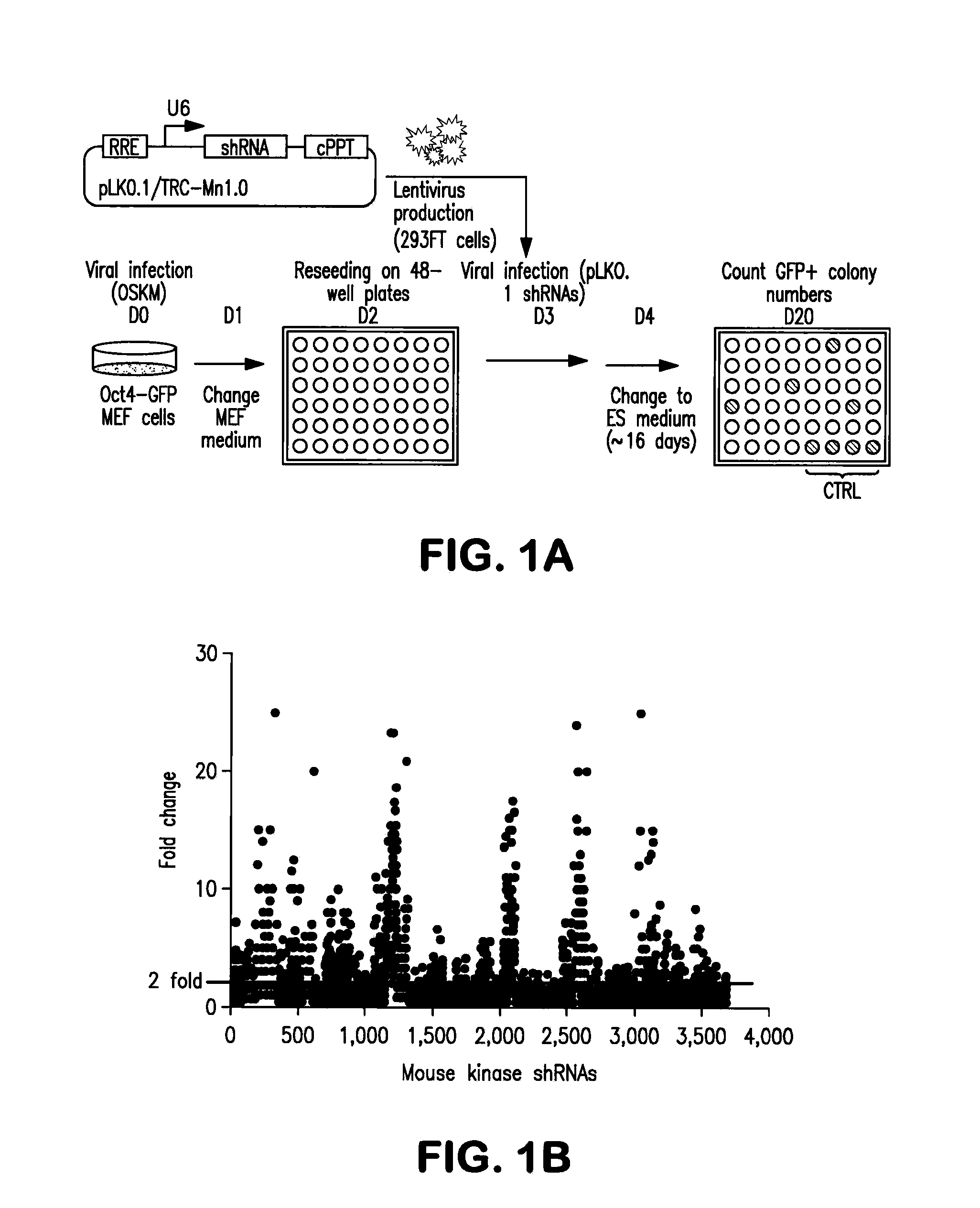 Methods for promoting cell reprogramming