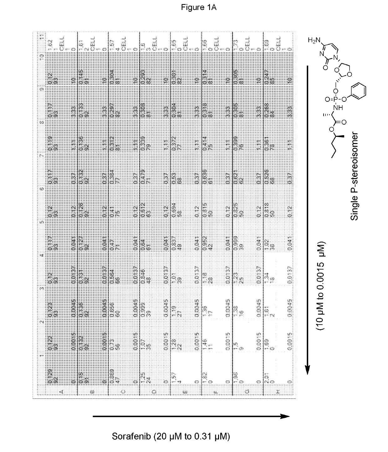 Combination therapy with sorafenib or regorafenib and a phosphoramidate prodrug of troxacitabine