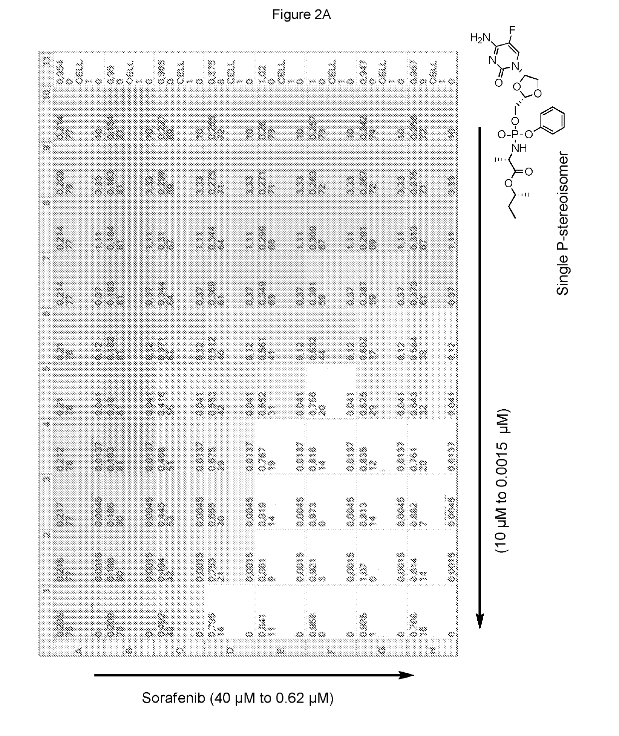 Combination therapy with sorafenib or regorafenib and a phosphoramidate prodrug of troxacitabine