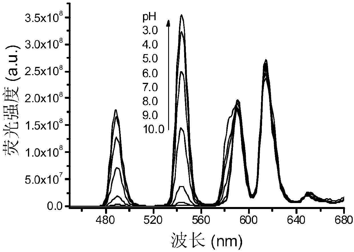Rare-earth carbon nanoparticle, preparation method of rare-earth carbon nanoparticle and application for determining pH value based on fluorescence color scale