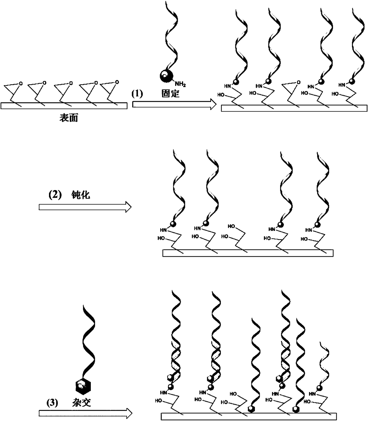 Method for detecting specific and/or non-specific adsorption of nucleic acids