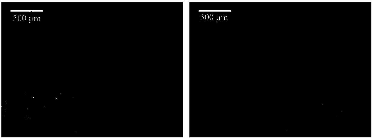 A method for plugging surface micropores during thermal spraying