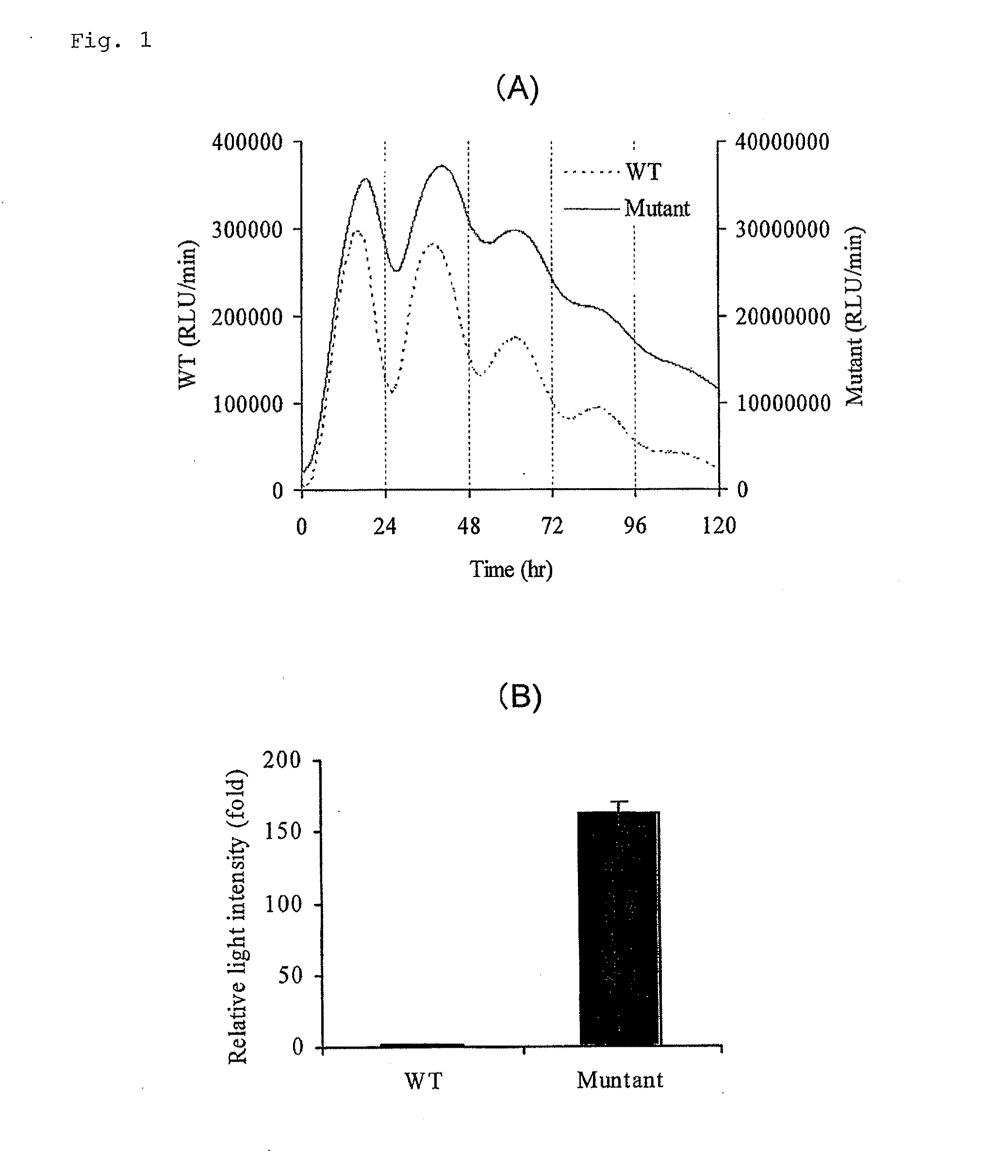 Luciferase gene optimized for use in imaging of intracellular luminescence