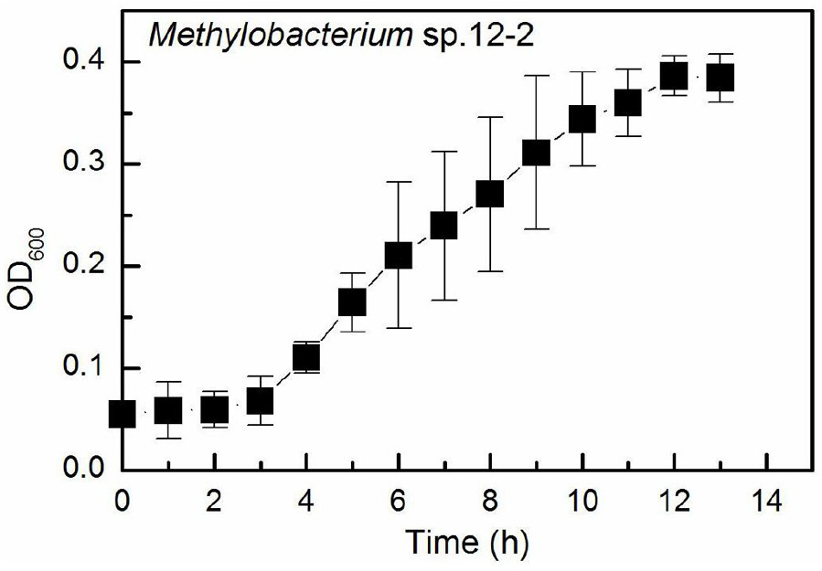 Methylobacterium, fermentation product thereof and application of methylobacterium in inhibition of growth of algae