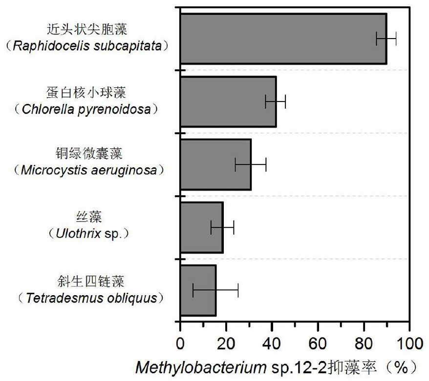 Methylobacterium, fermentation product thereof and application of methylobacterium in inhibition of growth of algae