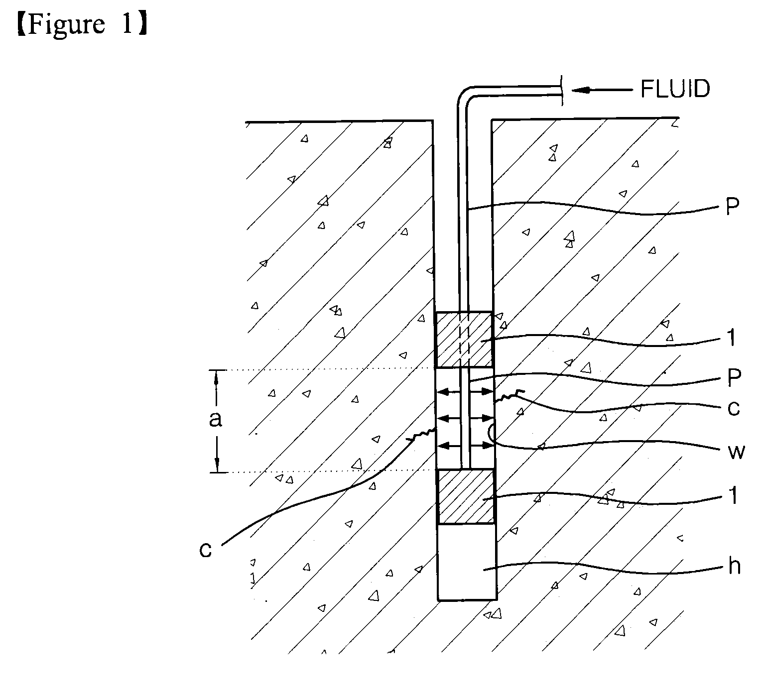 Method and apparatus for measuring in-situ stress of rock using thermal crack