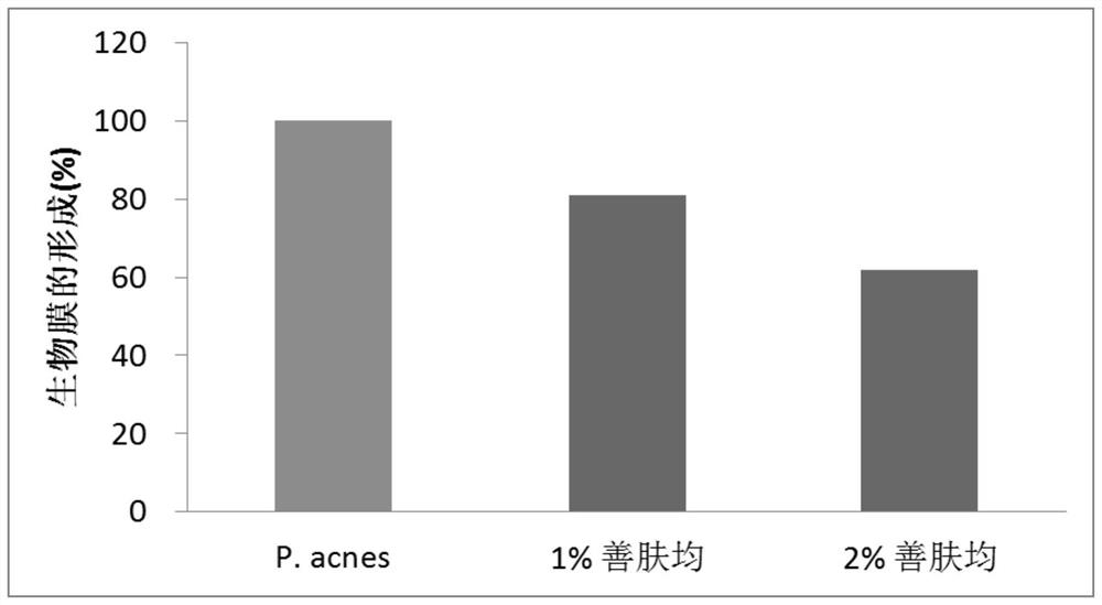 A kind of anti-acne concentrate and its application