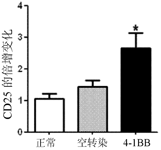 Pig 4-1BB receptor, gene for encoding pig 4-1BB receptor and application thereof