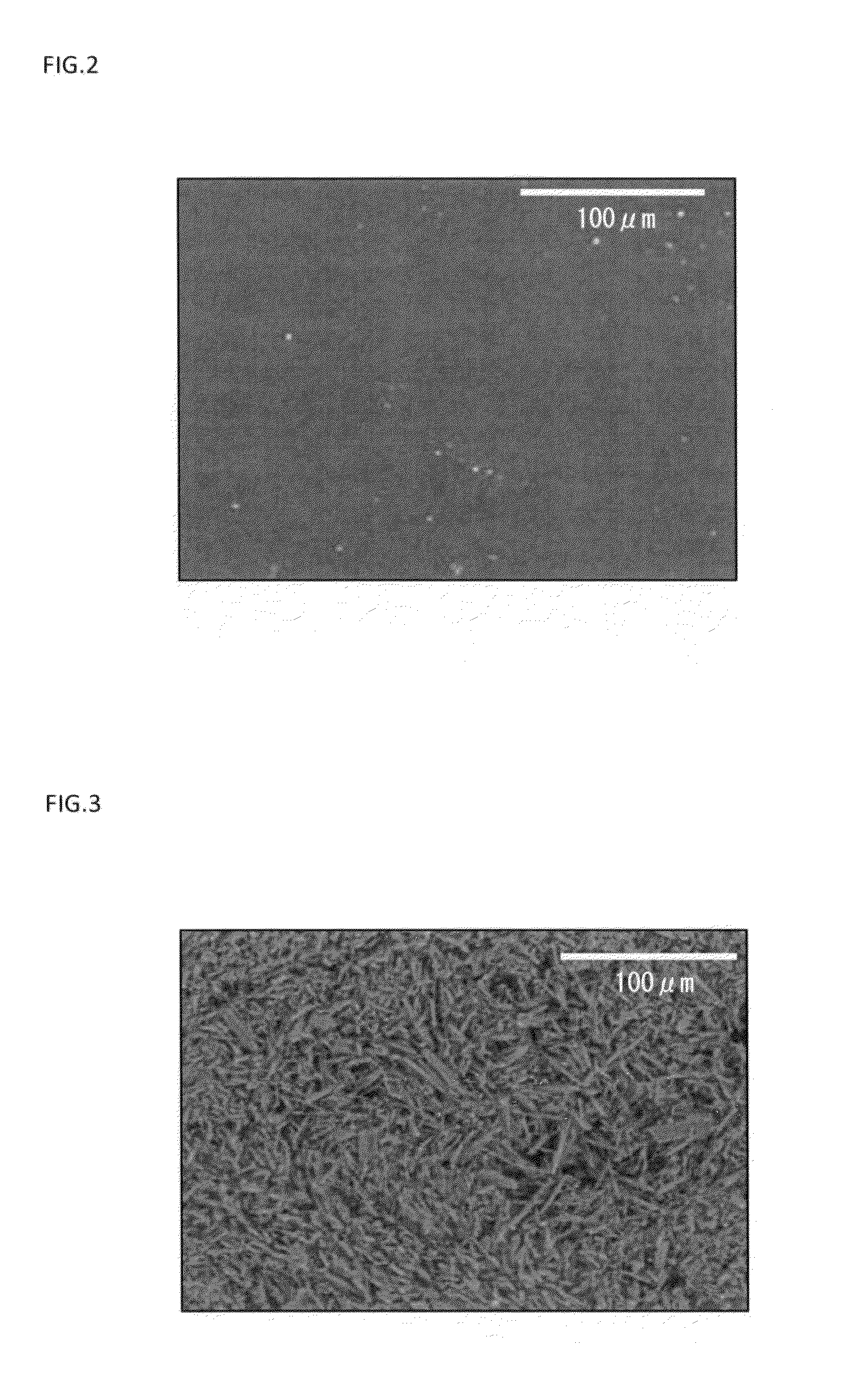 Patch and method for producing the same