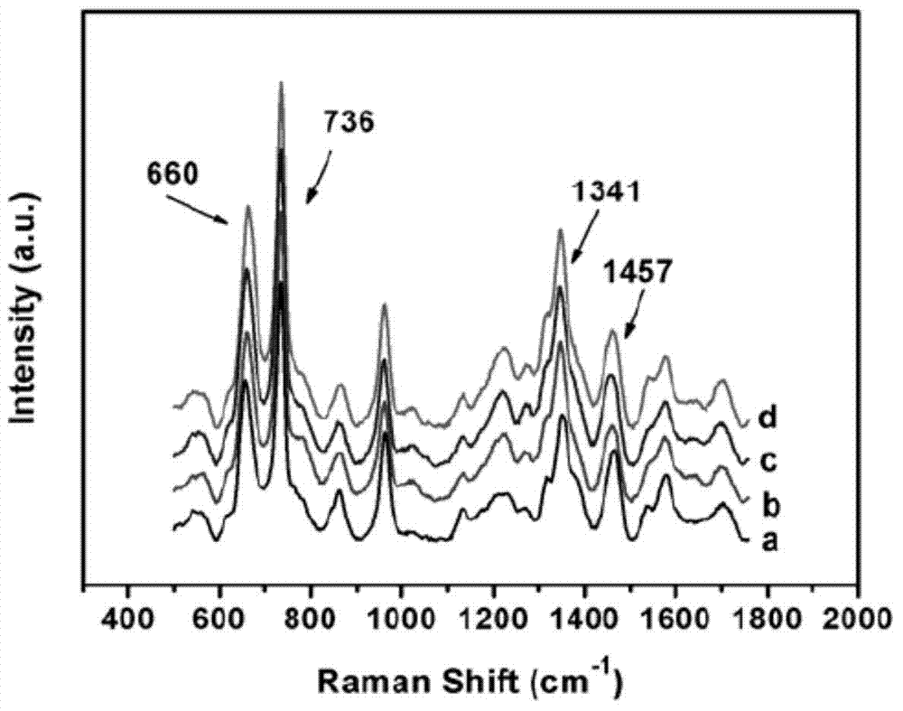 Method capable of quantitatively detecting surface enhanced Raman spectroscopy (SERS) of polychlorinated biphenyl