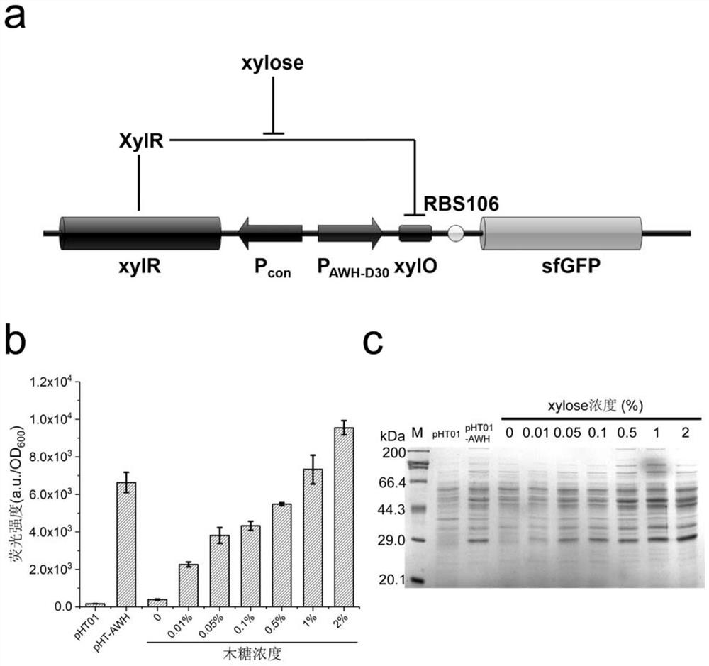 High-efficiency inducible expression system of Bacillus subtilis based on artificial tandem promoter