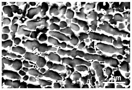 Method for preparing superhard ZrxCrCoFeNi high-entropy alloy coating on surface of zirconium alloy