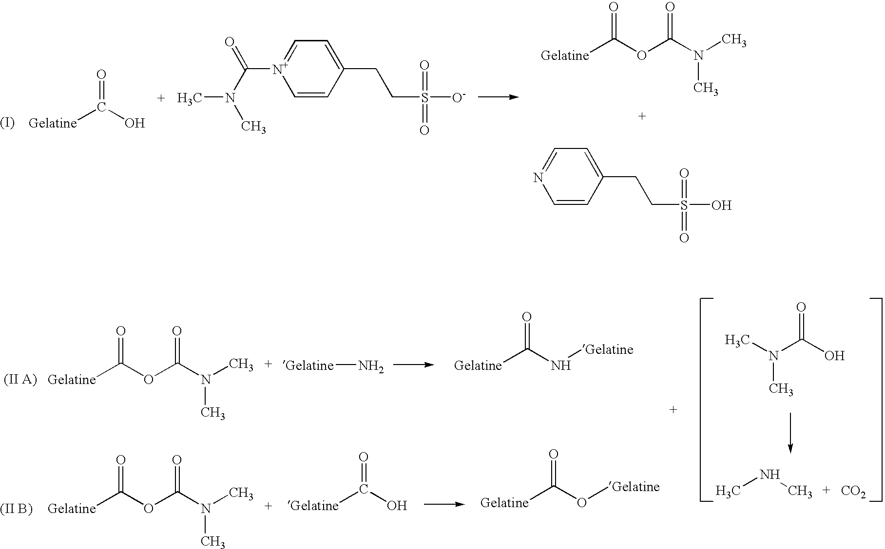 Process for making a low molecular weight gelatine hydrolysate and gelatine hydrolysate compositions