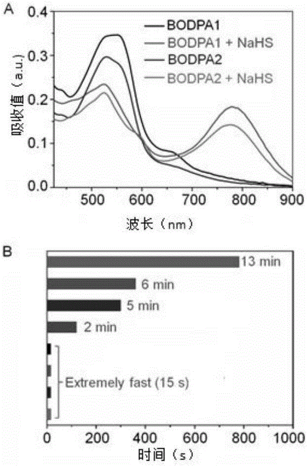 Organic silicon nanometer dye probe for detecting endogenous H2S, as well as preparation method and application thereof