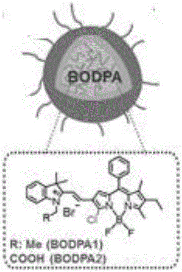 Organic silicon nanometer dye probe for detecting endogenous H2S, as well as preparation method and application thereof