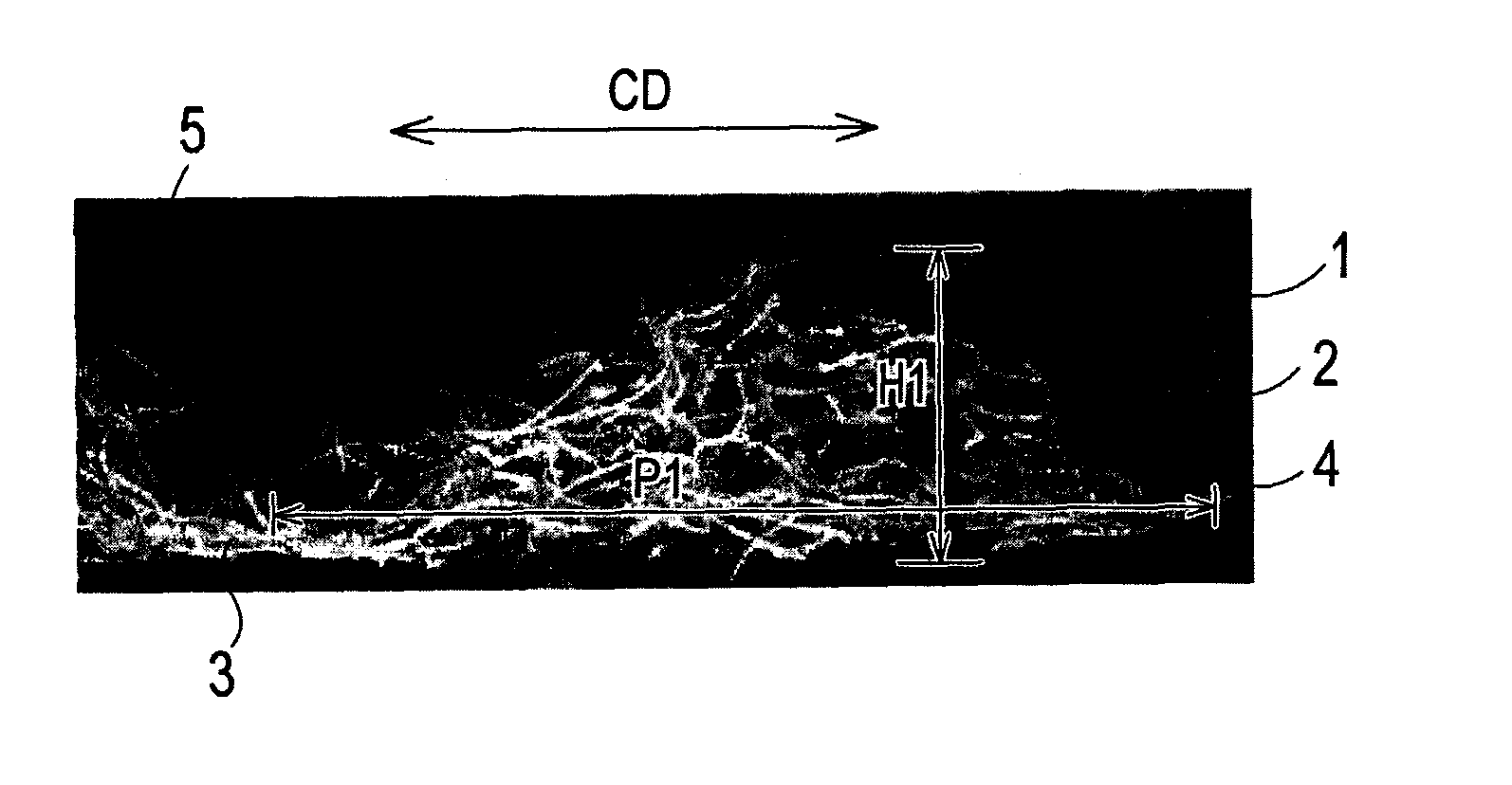 Female member for hook-and-loop fastener, hook-and-loop fastener employing the female member, and absorbent article employing the hook-and-loop fastener