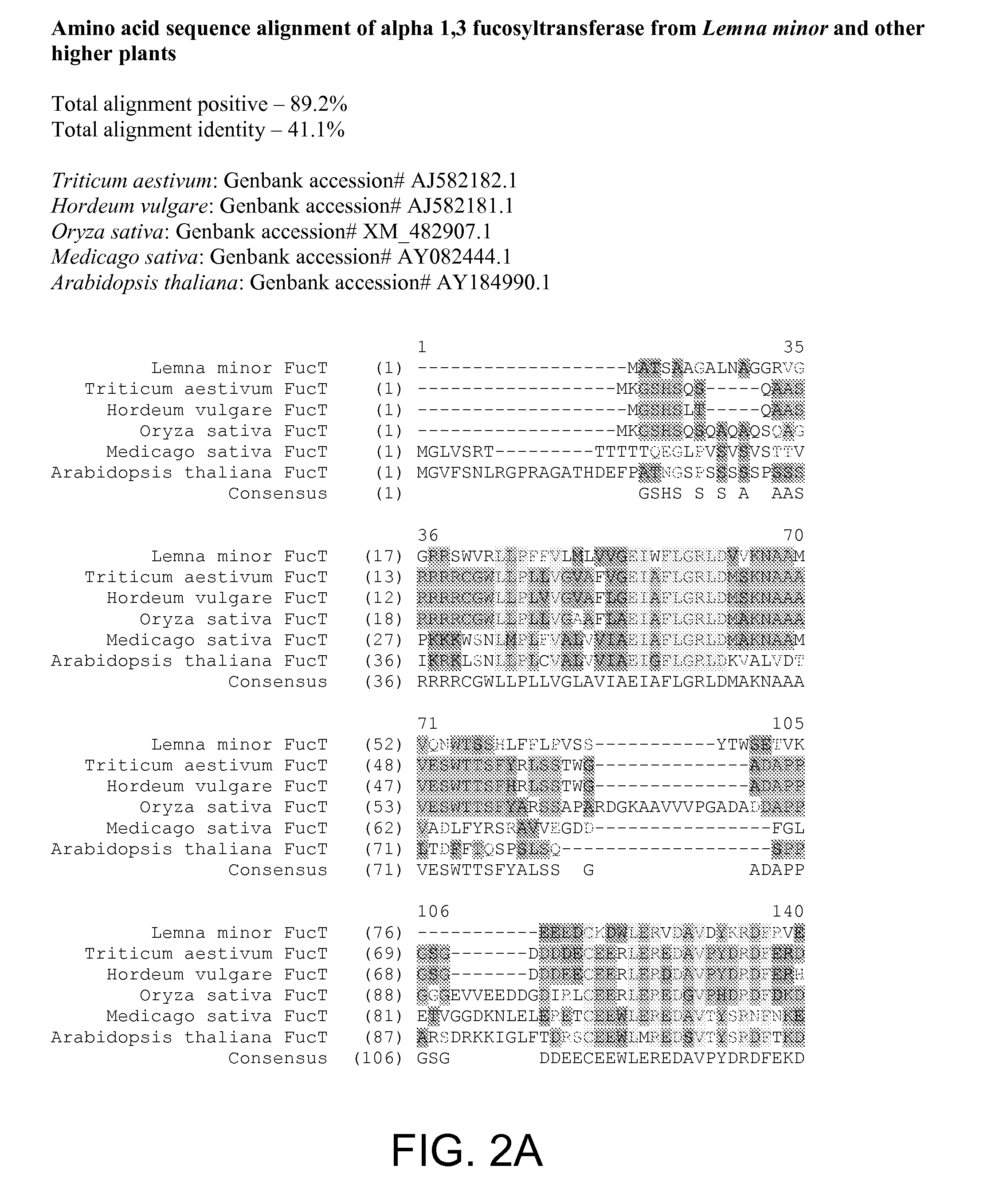 Compositions and methods for humanization and optimization of n-glycans in plants