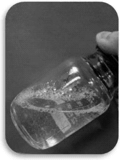 Method for preparing carbon nanofiber aerogel