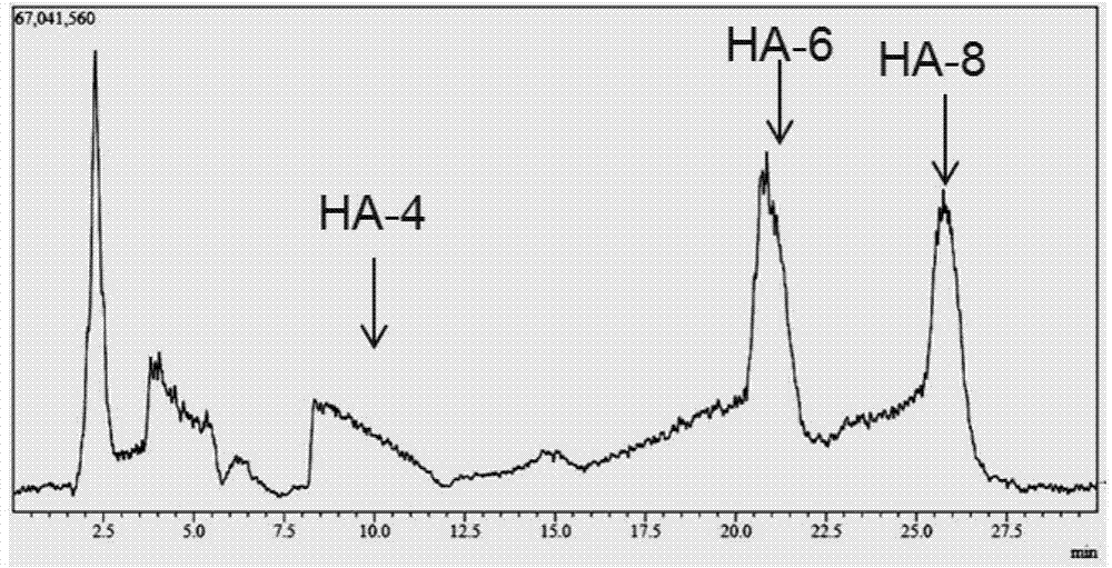 Method for preparing small-molecule oligomeric hyaluronic acid through enzyme method