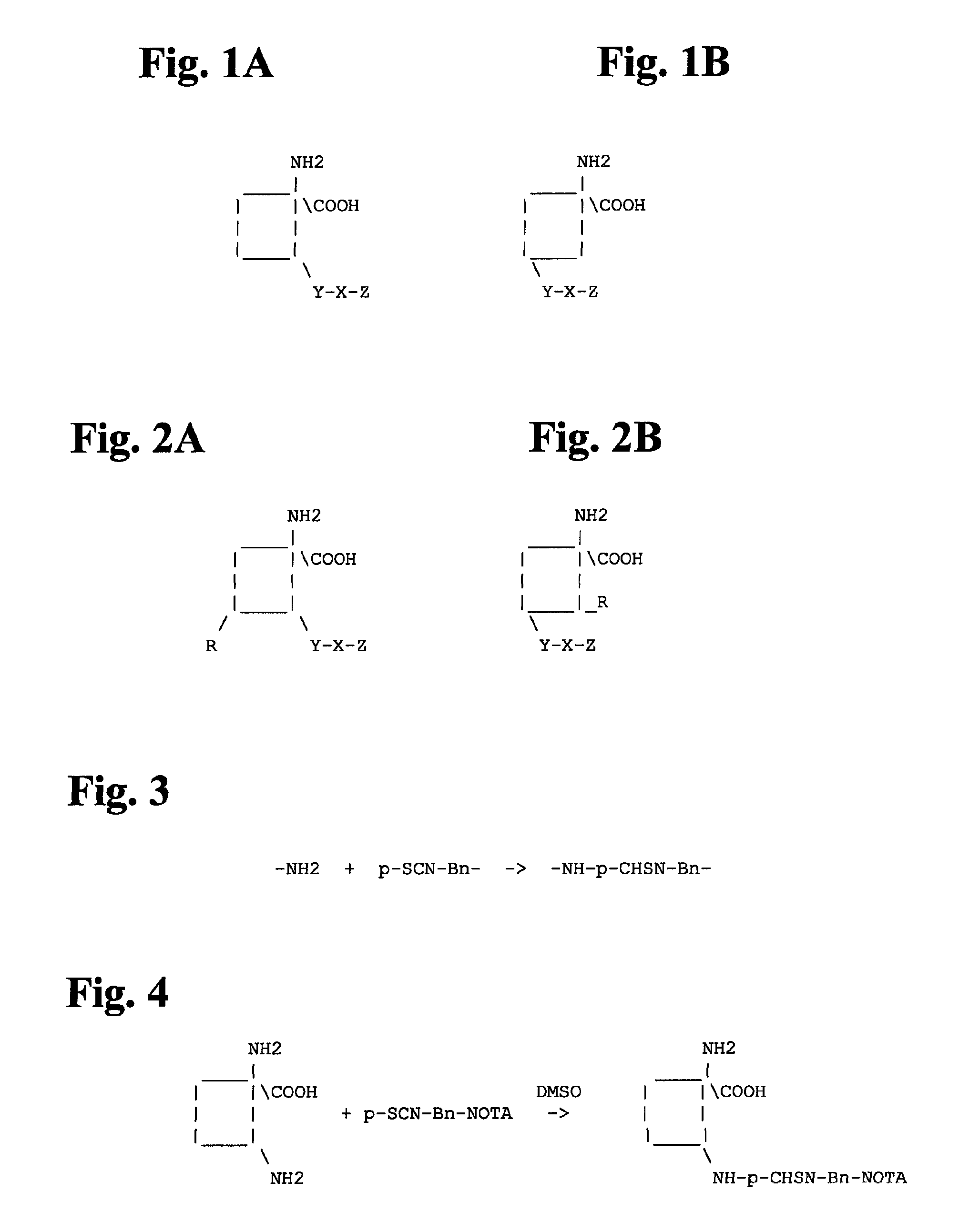 Radiometal-labeled amino acid analogs, imaging and therapeutic agents incorporating the same, and methods using the same