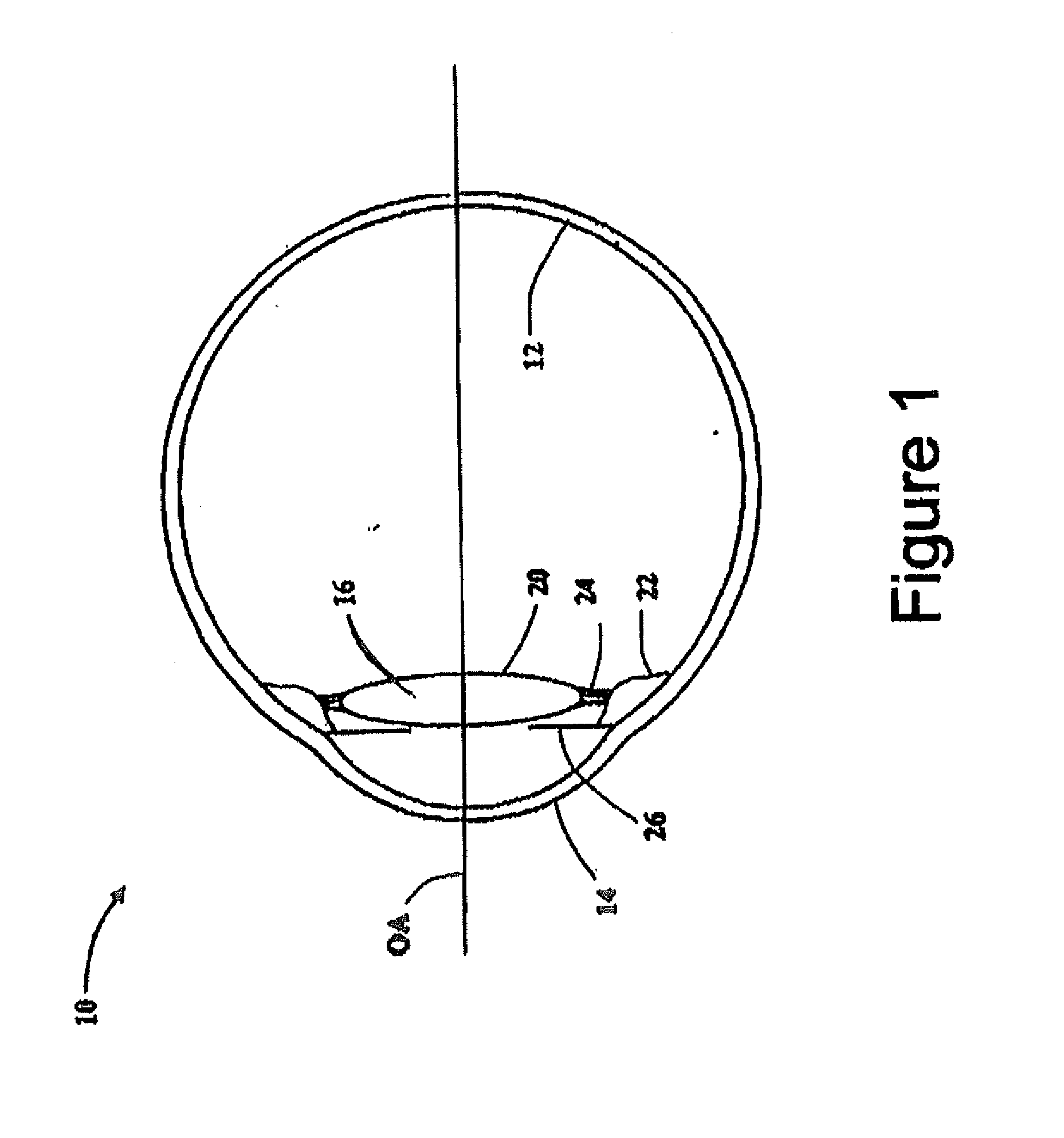 Collagen-based ophthalmic interface for laser ophthalmic surgery