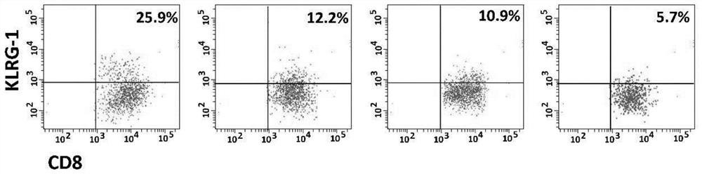 Method and application of sfn combined with IL-15 and IL-21 to prepare memory T cells