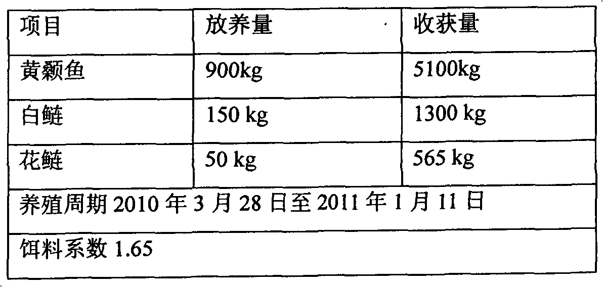 Environment-friendly yellow catfish pond culture method